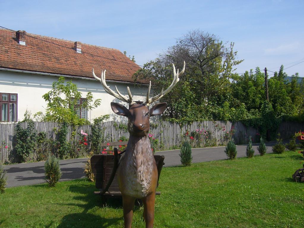 Pensiunea Mara Baiculesti Exterior foto
